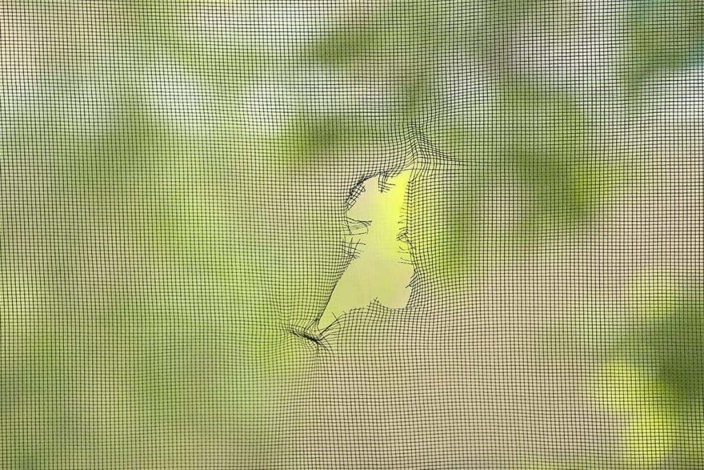 Steps to Repair or Replace Your Home's Window Screens