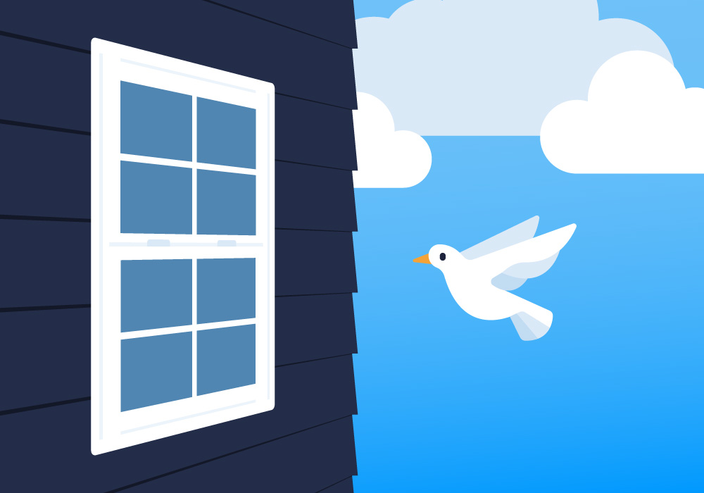 graphic of a bird flying near a window